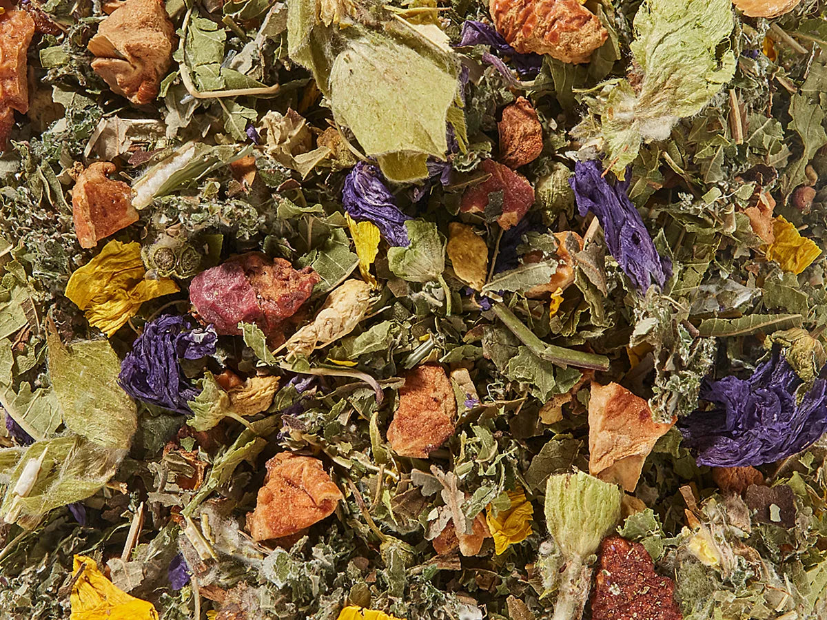 Infusion Thé des montagnes aux agrumes