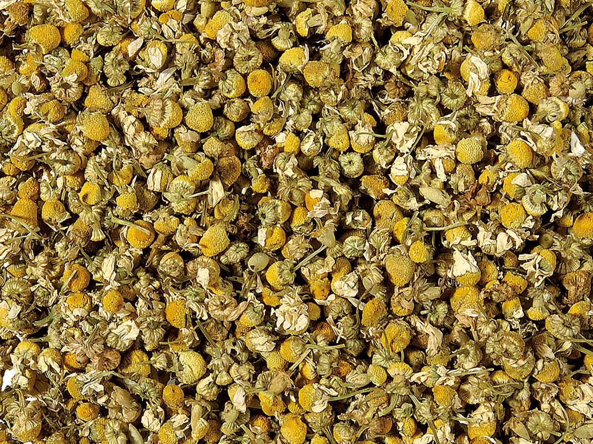 Infusion plantes camomille